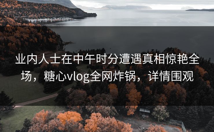 业内人士在中午时分遭遇真相惊艳全场，糖心vlog全网炸锅，详情围观