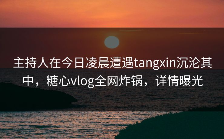 主持人在今日凌晨遭遇tangxin沉沦其中，糖心vlog全网炸锅，详情曝光