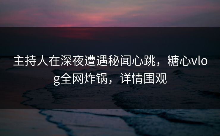 主持人在深夜遭遇秘闻心跳，糖心vlog全网炸锅，详情围观