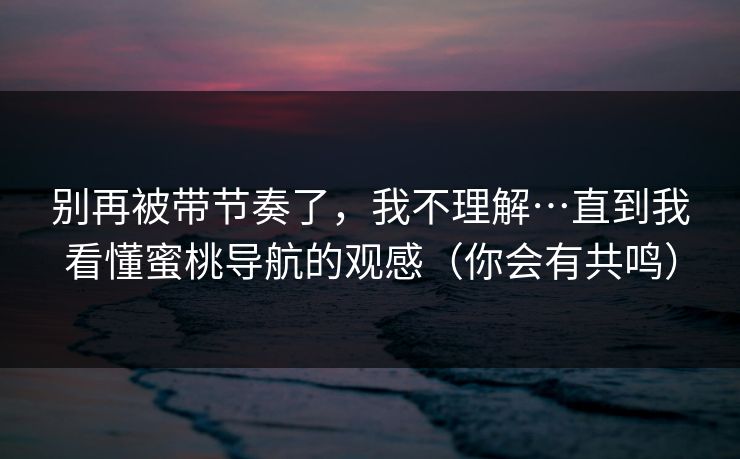 别再被带节奏了，我不理解…直到我看懂蜜桃导航的观感（你会有共鸣）
